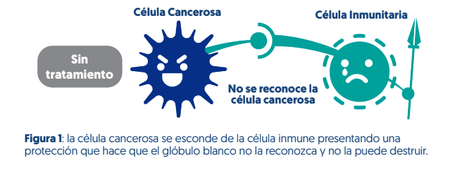 Célula tumoral no reconocida por el sistema inmune