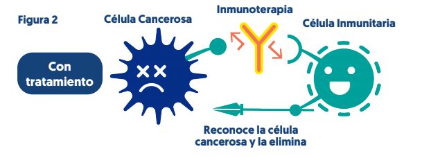 Célula tumoral reconocida por terapia de anticuerpos