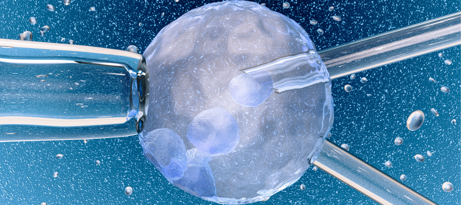 Tratamientos de Fertilidad