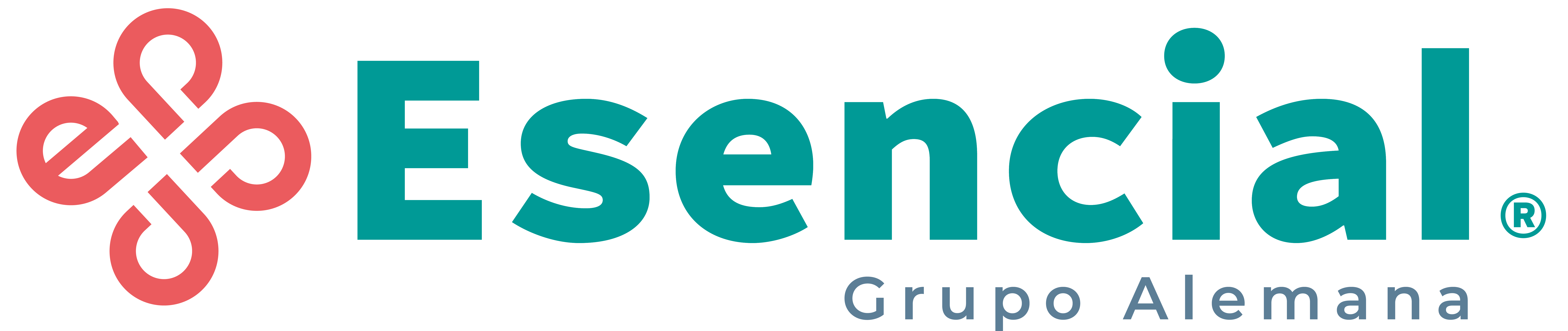 logo esencial