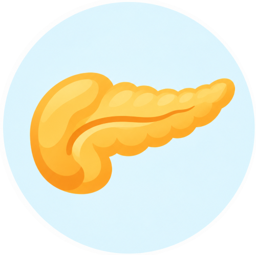 Trasplante de páncreas