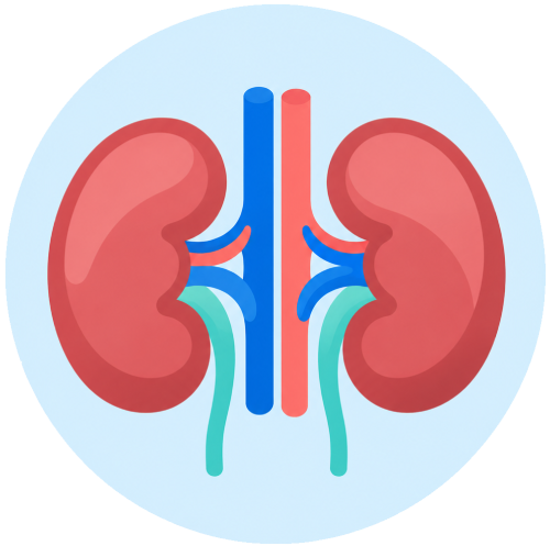 Trasplante renal