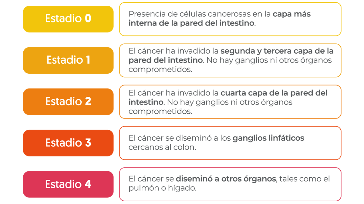 Estadíos del cáncer de Cólon