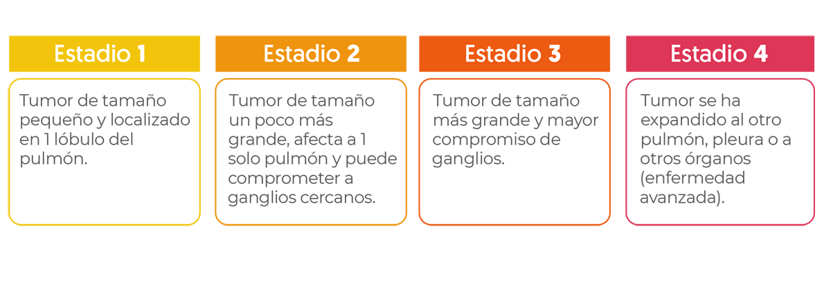1. tumor pequeño localizado, 2 tumor grande que afecta un pulmón pudiendo afectar gánglios cercanos, 3 tumor de gran tamaño con mayor compromiso ganglioar, 4 tumor extendido al otro pulmón u órganos