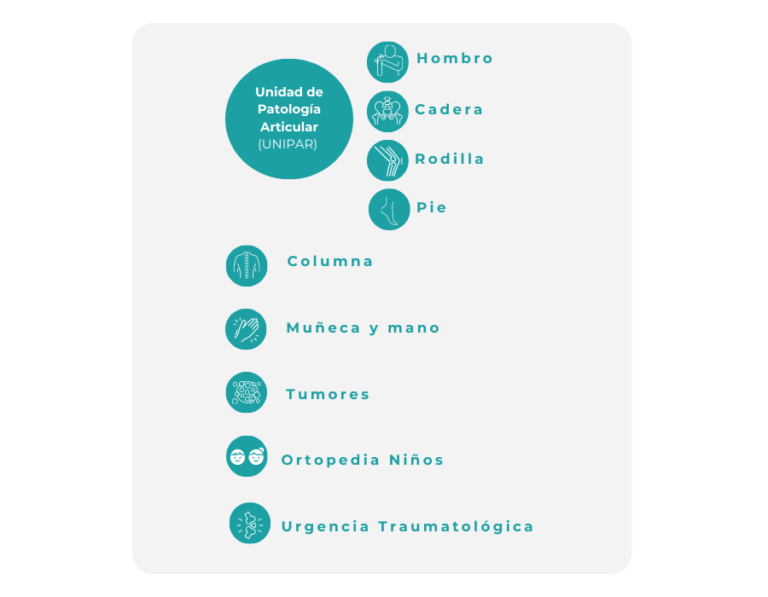 Unidad de Patología Articular UNIPAR) y demás subespecialidades