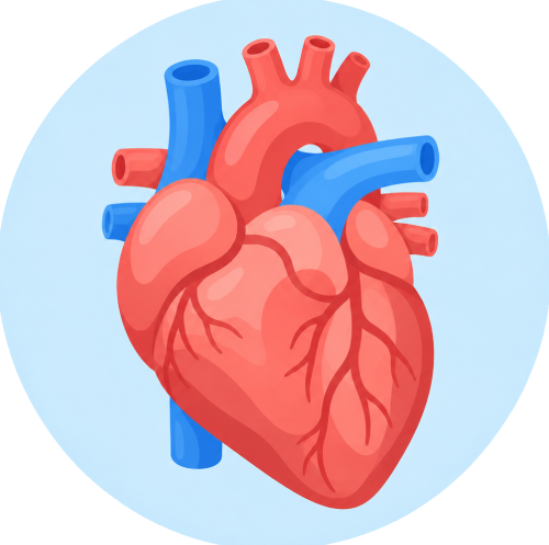 Trasplante de corazón
