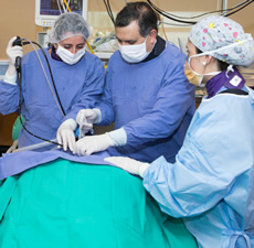 Neumonología intervencional