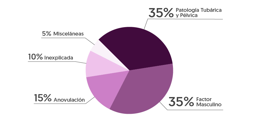 Posibles causas de Infertilidad