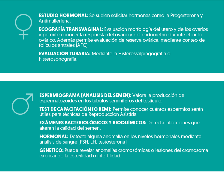 Estudios de fertilidad femeninos y masculinos