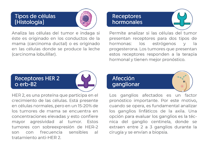 biopsia, histopatología, afección gangliona, clasificación de receptores hormonales