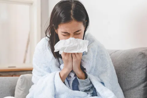 Influenza e Invierno