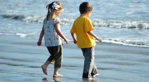 fragata portuguesa, sepa cómo reconocer la picadura