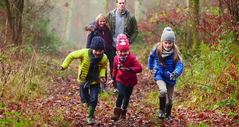 Vacaciones de Invierno