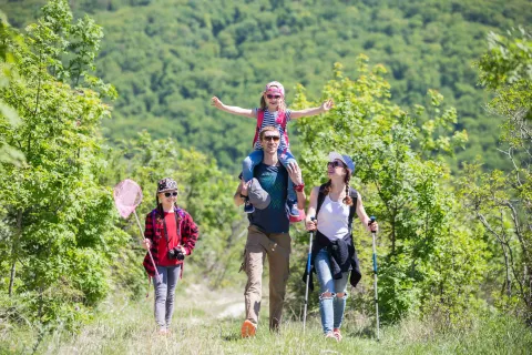 Unidad de Paciente Crítico Adultos