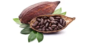 Beneficios del Cacao