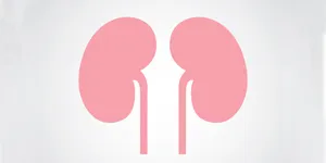 Día Mundial del Riñón