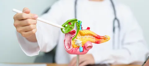 médico explicando con maqueta