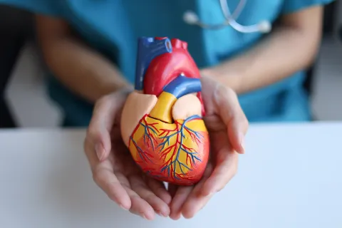 Cardiología