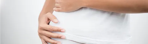 Higado