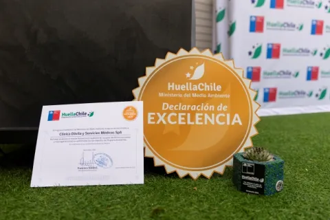 huellachile