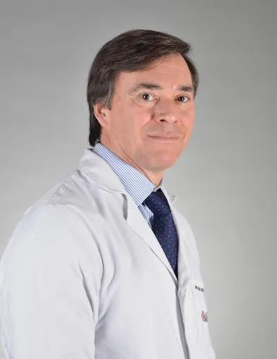Dr. Bertelsen Díaz Pablo