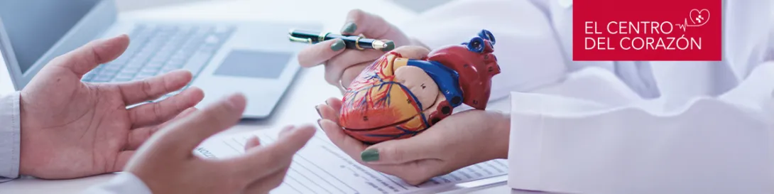 Manos de médica sosteniendo un corazón realista de plástico. Especialidad Cirugía Cardíaca