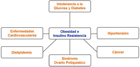 Programa Integral de Sobrepeso y Obesidad
