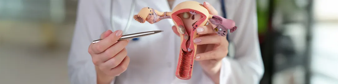Doctora enseñando con una maqueta de plástico