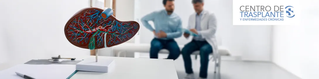 Médico con paciente y maqueta de hígado