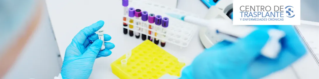 Manos con guantes y tubos de ensayo