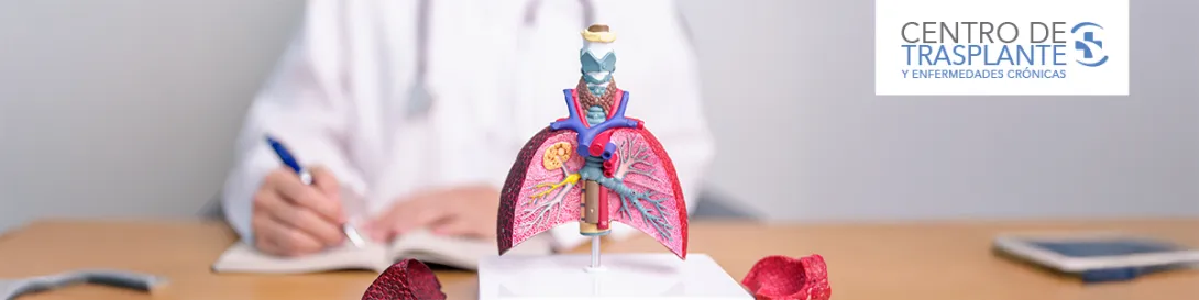 Médico con maqueta de pulmones