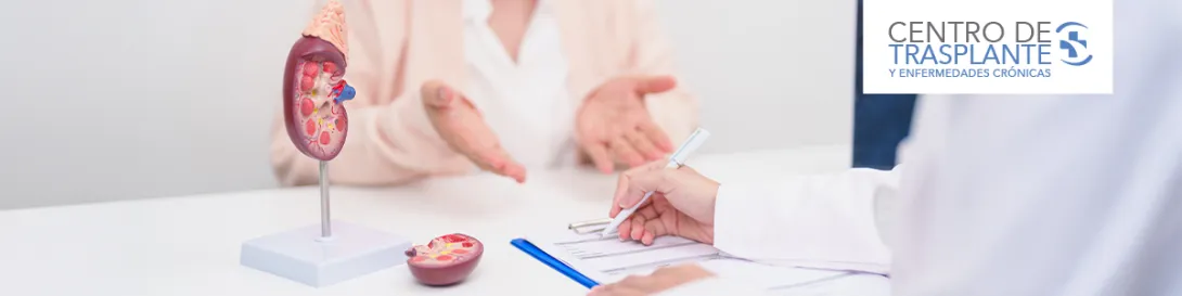 Médico con maqueta de riñones
