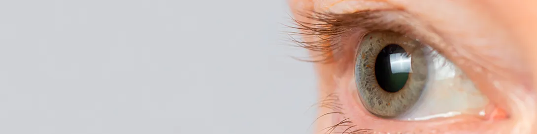 Enfermedades de la Retina